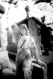 St Roch