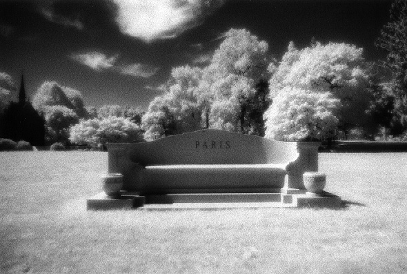 woodlawn - by chuckv