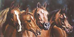 sangre caliente, caballos pura sangre, caballos andaluces