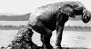 wpe1A.gif (39079 bytes)
