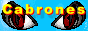 www.cabronesweb.tk