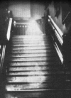 wpe15.gif (27030 bytes)