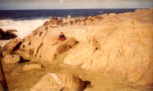 Calo Polonio - Rocha