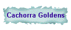 Cachorra Goldens