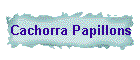 Cachorra Papillons