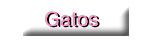 Gatos