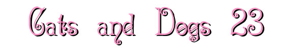 Cats and Dogs 23
