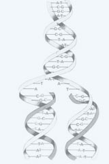 DNA