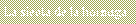 Cuadro de texto: La siesta de la hormiga