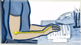 Ergo6.gif (16798 bytes)