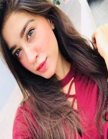 amritsar escorts