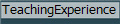 TeachingExperience