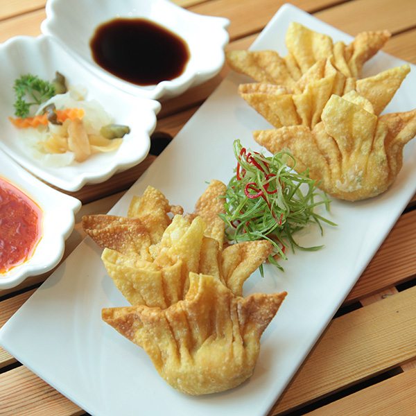 Wonton