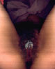 V18, 2002