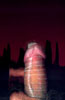 V8, 2002
