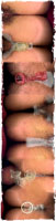 Cogida y SIDA 2, 2002