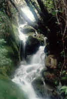 Cascada MINOLTA 35mm. IS0/100  16dfg. X 1 seg.