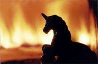 Unicornio  MINOLTA 35mm. ISO/100  3.5dfg.  X  1seg.