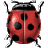lady bug clipart