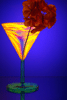 Verre Polaris� 01(num.)