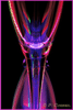 - Fl�te - 