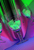 - Cocktail ( Num.) - 