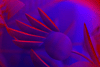 - Formes Abstraites ( Num.) - 