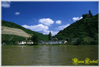 -  Croisi�re sur le Rhin  - 
