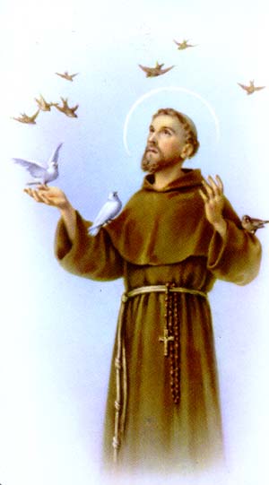 S�o Francisco de Assis