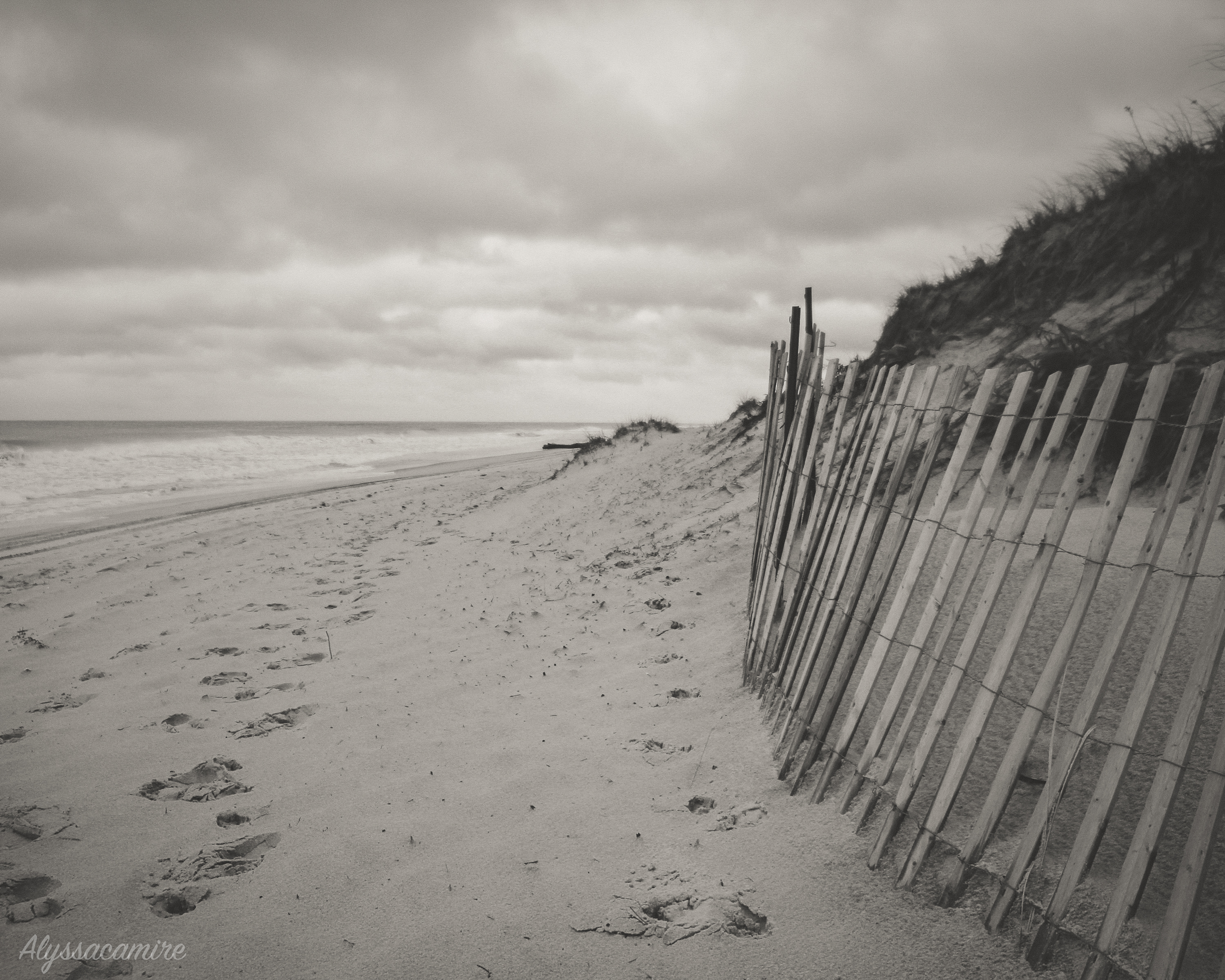 beach