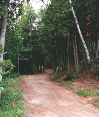 Click on this picture to examine the wild sites area