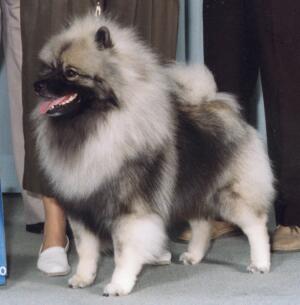 Ruffin