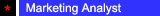 Marketing Analyst