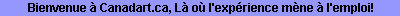 Bienvenue � Canadart.ca, L� o� l'exp�rience m�ne � l'emploi!