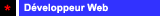 Web Designer and Developer