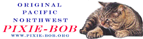 pixie-bob.org
