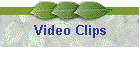 Video Clips