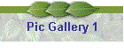 Pic Gallery 1
