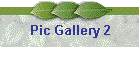 Pic Gallery 2