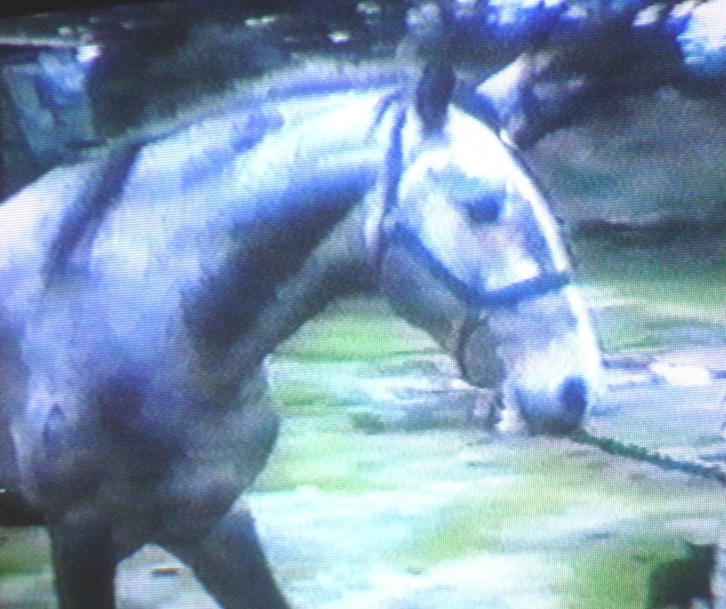 QU'HINOTE