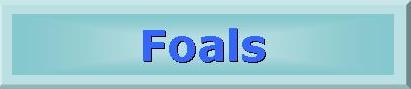 Foals