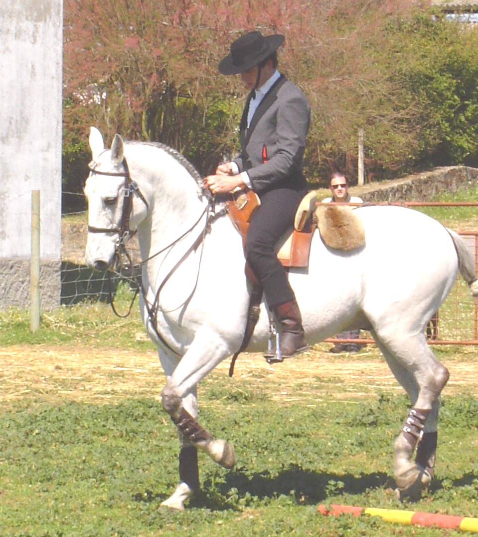 MIRAGEM-cruzado portugu�s
