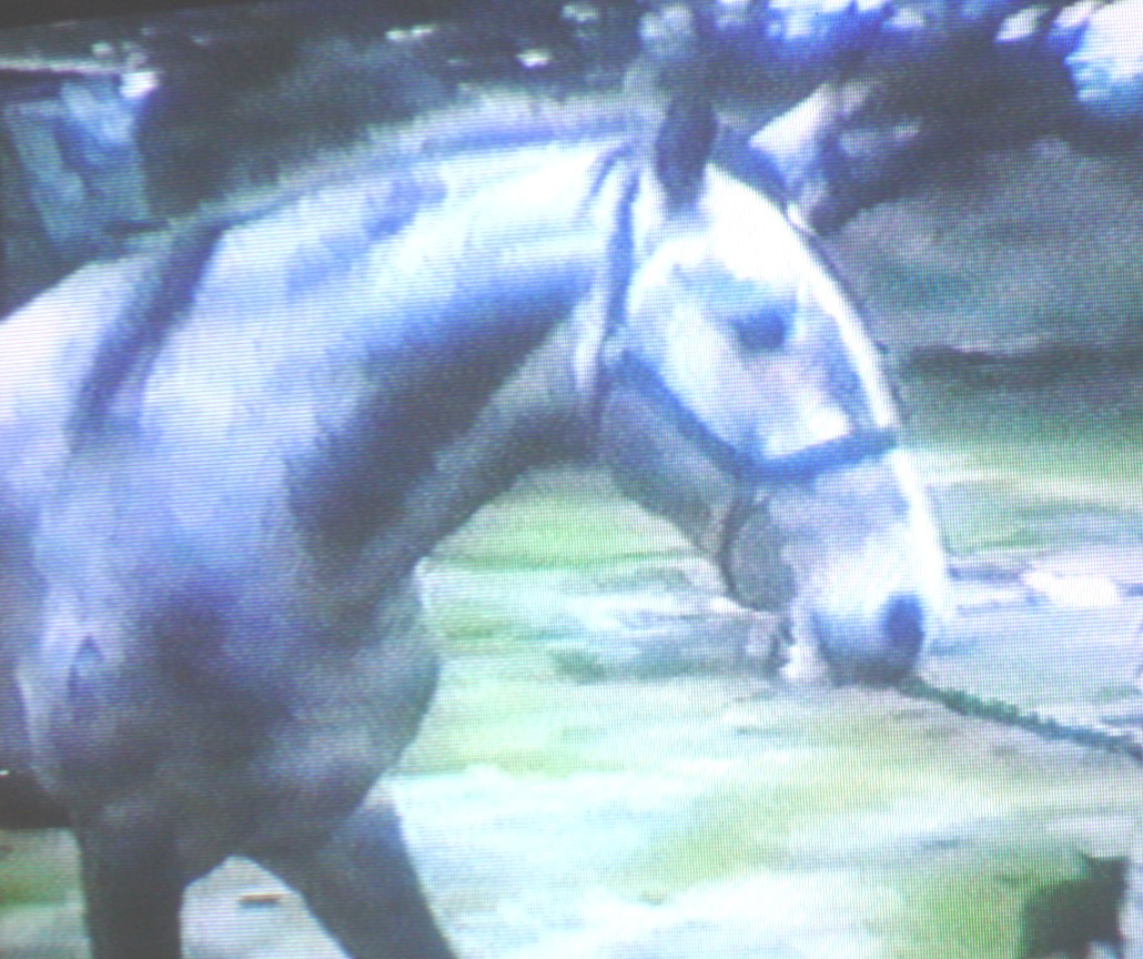 QU'HINOTE
