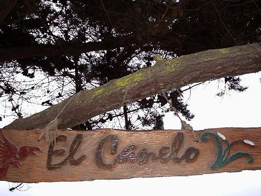parque canelo - canelillo