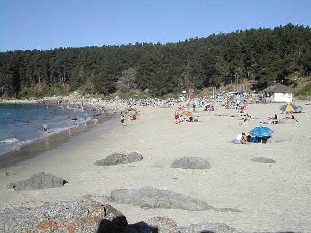 CUIDEMOS ALGARROBO!