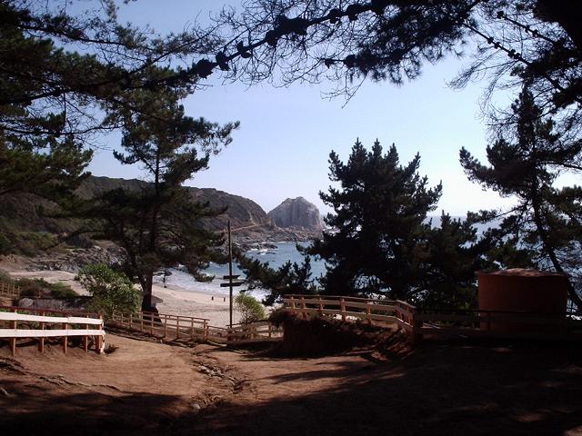 parque canelo - canelillo