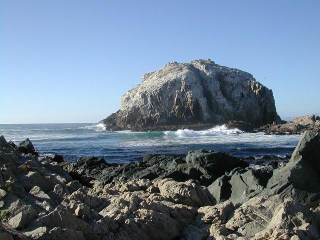 CUIDEMOS ALGARROBO!