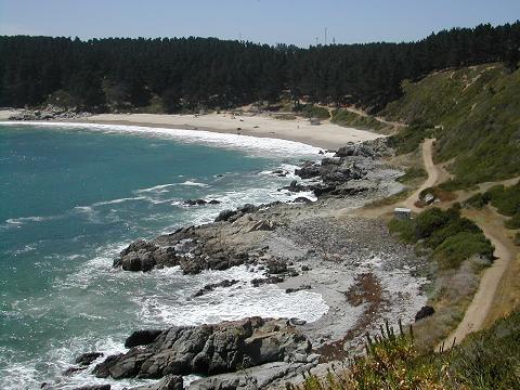 CUIDEMOS ALGARROBO!