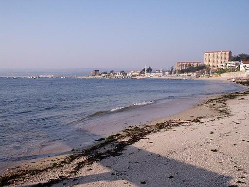 CUIDEMOS ALGARROBO!
