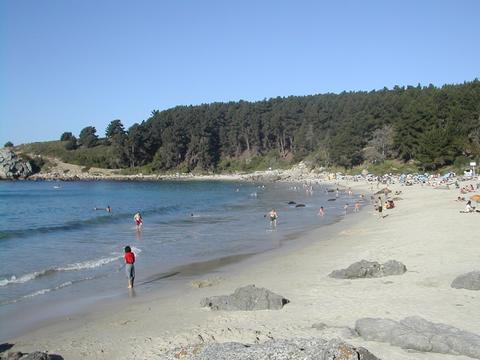 ex canelillo